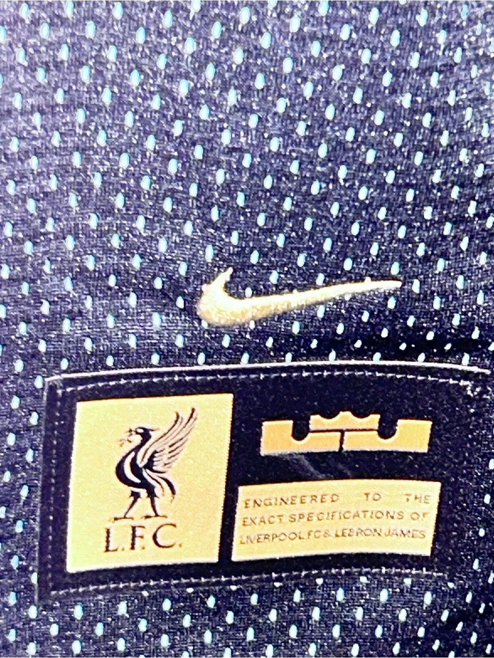 Nike Liverpool x LeBron Reversible Basketball Soccer Jersey Kids L FQ4128-305
